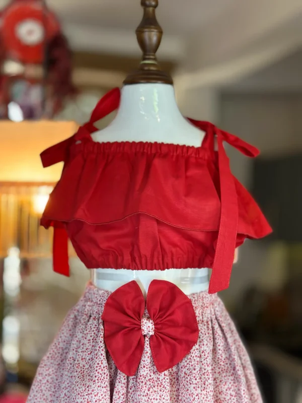 top and layer skirt Red 2 Petal Ruffles Kit